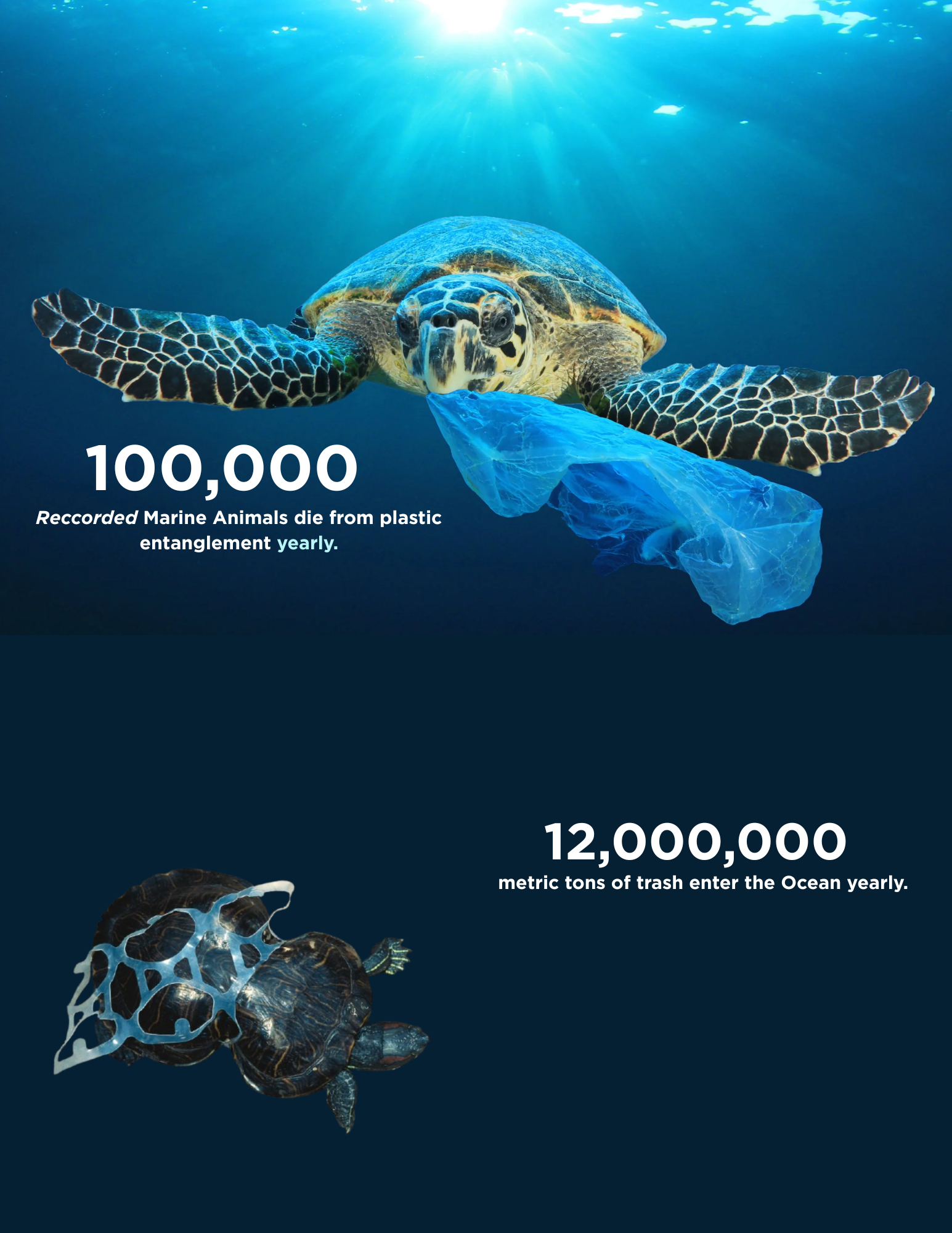 Marine animals affected by plastic pollution